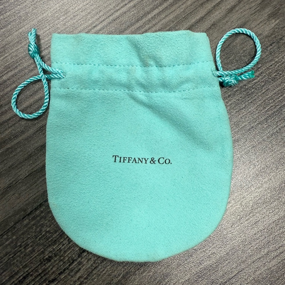 Tiffany & Co. Aqua Drawstring Pouch